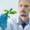 Photo by Chokniti Khongchum: https://www.pexels.com/photo/person-holding-green-leafed-plant-2280551/