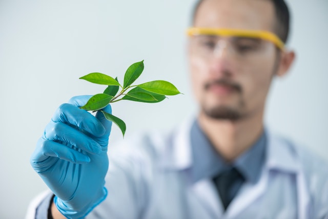 Photo by Chokniti Khongchum: https://www.pexels.com/photo/person-holding-green-leafed-plant-2280551/