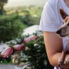 Photo by ismael jim: https://www.pexels.com/photo/a-person-holding-a-pet-dog-6398861/