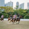 Photo by mentatdgt: https://www.pexels.com/photo/group-of-men-riding-horses-about-to-play-polo-sport-1941888/