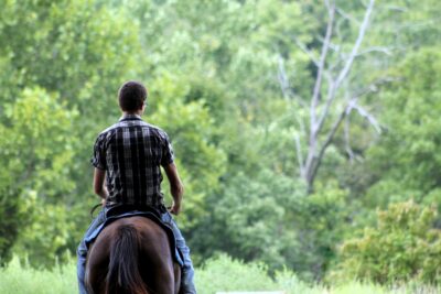 Pixabay.com royalty-free image #837220, 'horse, cowboy, boy' uploaded by user Godsgirl_madi