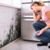 Adobe Stock royalty-free image #182985458, 'Shocked Woman Looking At Mold On Wall' uploaded by Andrey Popov, standard license purchased from https://stock.adobe.com/images/download/182985458; file retrieved on July 31st, 2019. License details available at https://stock.adobe.com/license-terms - image is licensed under the Adobe Stock Standard License
