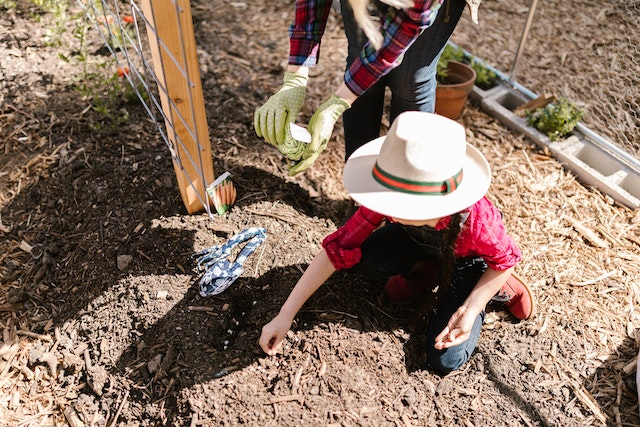 Photo by RODNAE Productions: https://www.pexels.com/photo/a-kid-planting-seeds-on-the-ground-soil-7782192/