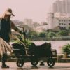 Photo by Bas Masseus: https://www.pexels.com/photo/person-holding-broom-and-cart-1109171/