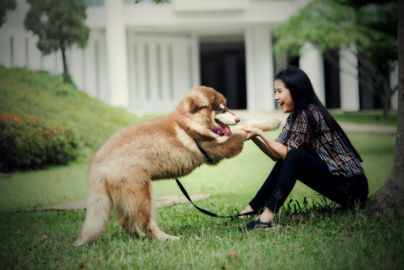 Image by jcomp on Freepik