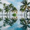 Photo by Dan Freeman on Unsplash