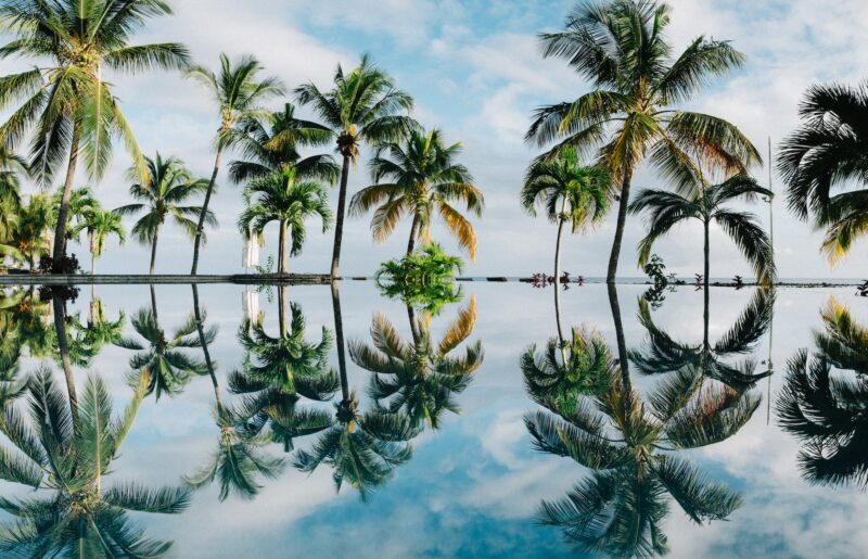Photo by Dan Freeman on Unsplash