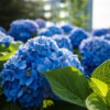 Image by wirestock on Freepik